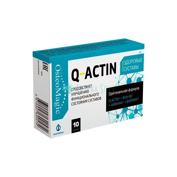 ❚ Q-Actin ⏤ joint capsules