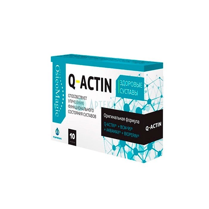 ❚ Q-Actin ⏤ joint capsules