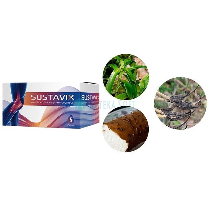 ❚ Sustavix ⏤ complex for joint health